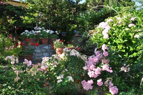 Hostal Serafina