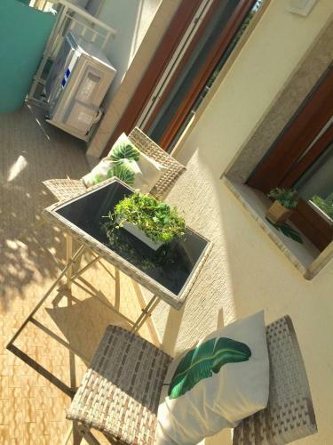 Apartamento Piccolo Moderno Appartamento Sulla Spiaggia In Centro
