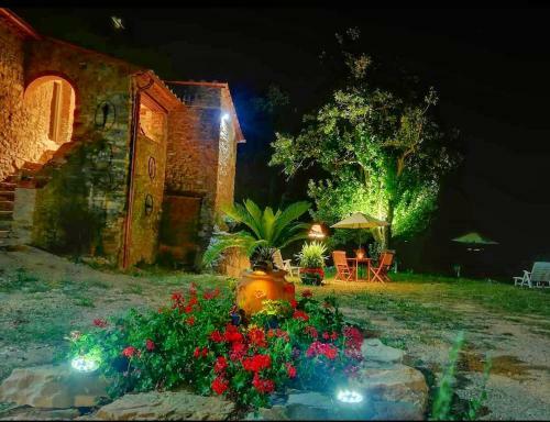 Apartamento Agriturismo Podere Le Palaie