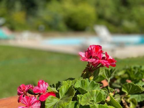 Bed & Breakfast La Giorgetta