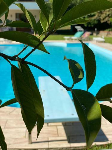 Bed & Breakfast La Giorgetta