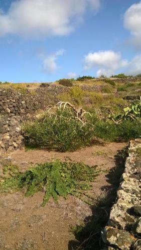 La Palma