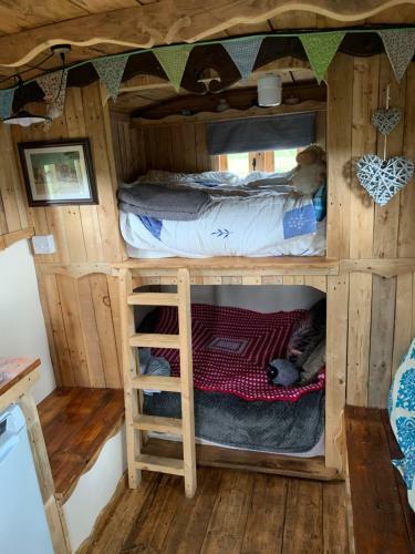 Glamping In Traditional Huts