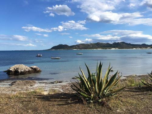 Agroturismo Cavalli Di S'arcaite