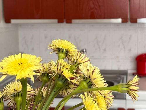 Apartamento Casa Viola, San Vito A 25 Minuti Da Costa Rey E Villasimius