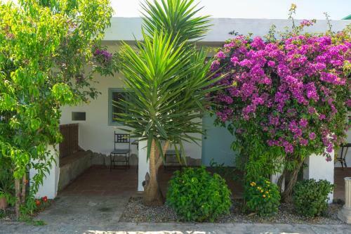 Agroturismo Habitaciones La Vega