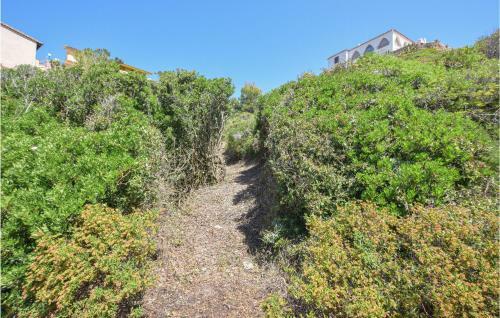 Awesome Home In Torre Dei Corsari With 3 Bedrooms