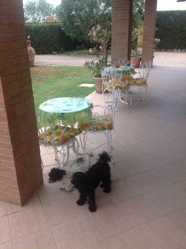 Agroturismo Villa Trieste