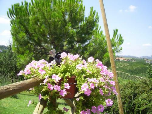 Bed & Breakfast L'antico Fienile
