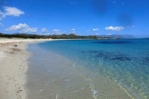 Apartamento Appartamento Al Mare Via Delle Mimose