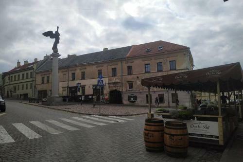 Historical U?upis & Old Town Apartment
