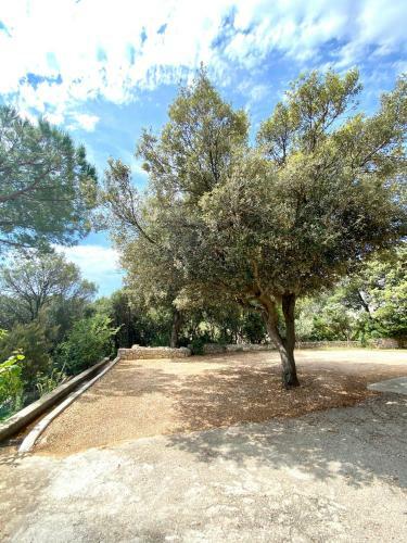 Apartamento Guesthouse Kurelic Rab