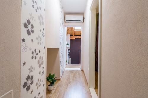 Apartamentos Old Town House Pako?tane