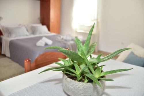 Old Town Studio Apartments