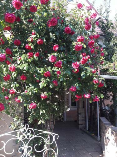 Hostal Guest House Cozy Near Arcadia