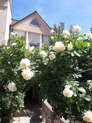 Hostal Guest House Cozy Near Arcadia