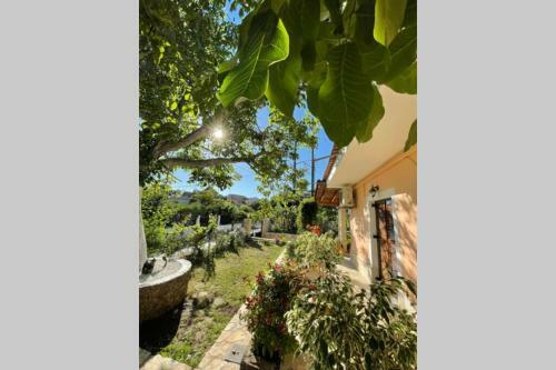 Apartamento Mina's Serene Garden House