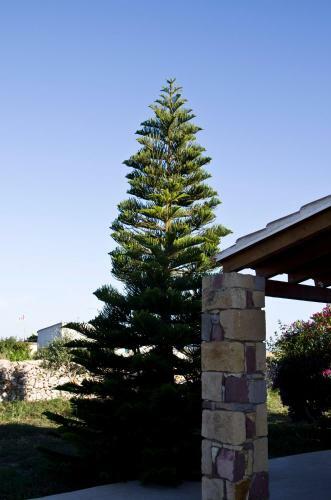 Agroturismo Pein