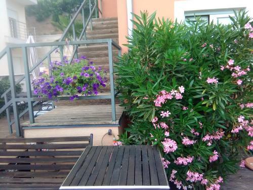 Apartamento Anica App