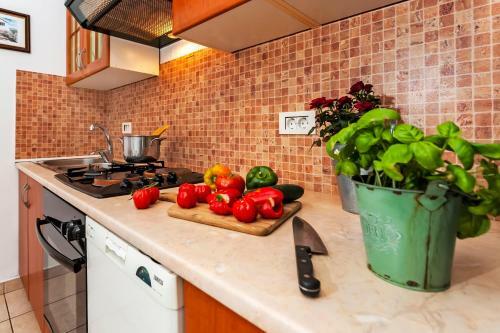 Hostal Apartment & Rooms Graciela