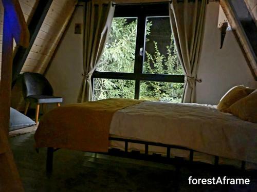 Forest A-frame