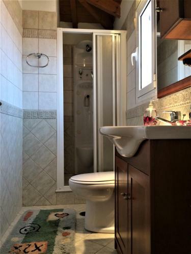 Wooden Roof Apartment