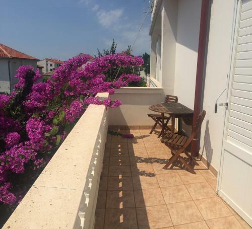 Hostal Apartments Matu?an