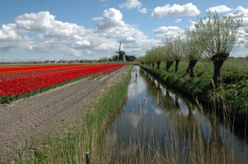 Hotel Restinn Aartswoud