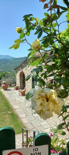 Hotel Poggio Al Sole