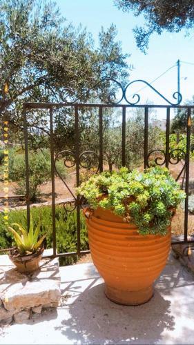 Apartamento Ampelia Kythira