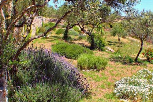 Apartamento Ampelia Kythira