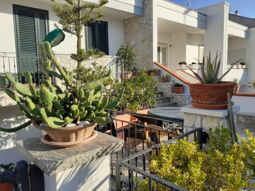 Apartamento Pertini