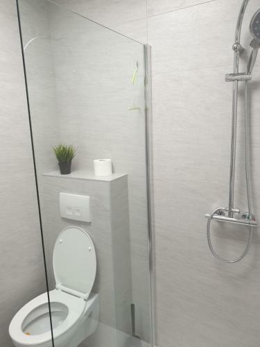 Apartamento Mieszkanie Pod Sosnami 2