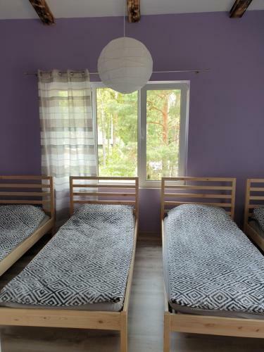 Apartamento Mieszkanie Pod Sosnami 2