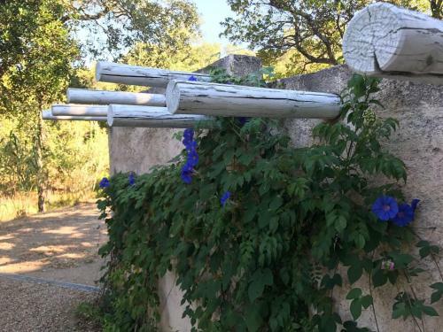 Peaceful Villa In Cogolin With Private Pool