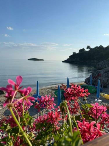 Apartamento Case Vacanze El Caribe.