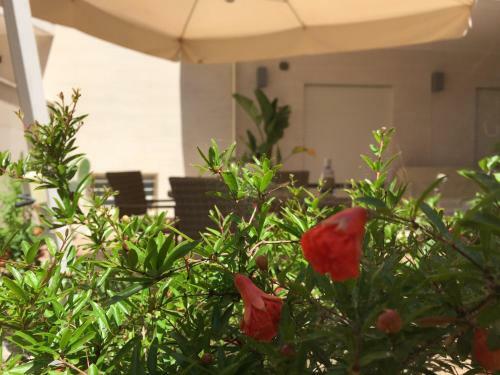 Bed & Breakfast Casa Roberta