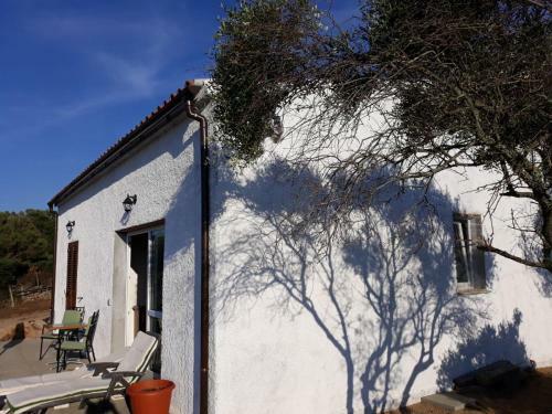 Apartamento Mauro Alloggi E Camere Palau