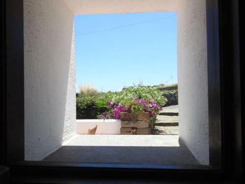 Agroturismo Dammusi Matilde