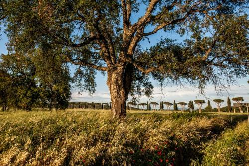 Apartamento Refugium Countryhouse