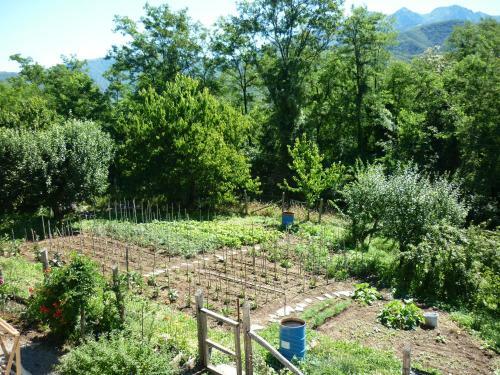 Bed & Breakfast Il Poggio Di Traverde