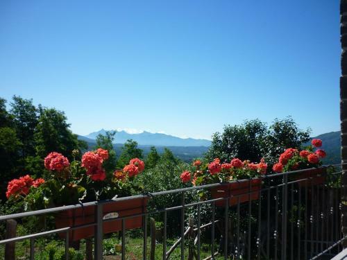Bed & Breakfast Il Poggio Di Traverde