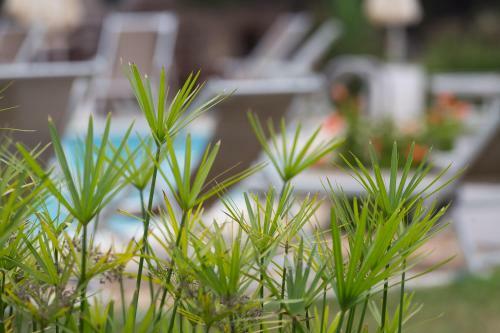 Apartamento Resort Capo Bianco