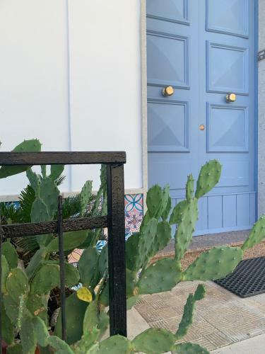 B&B Giallolumia