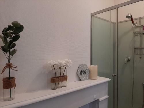 Apartamento Studio Cosy Proche Chr Lille
