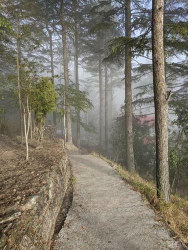 Lodge Shantiniketan Mountain Home