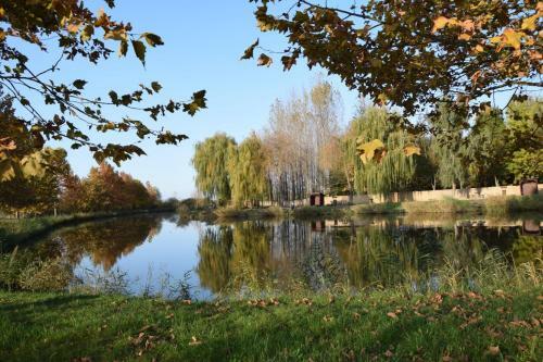 Apartamento T�gl�si Horg�szt�