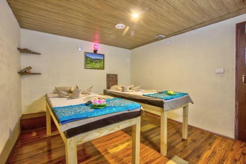 Hotel Ibex