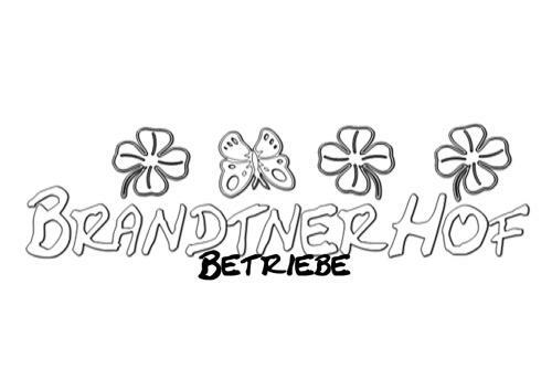 Apartamento Brandtnerhof Betriebe