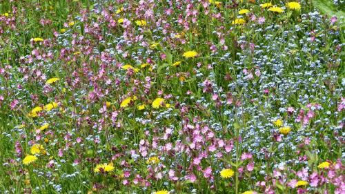 Apartamento Brandtnerhof Betriebe